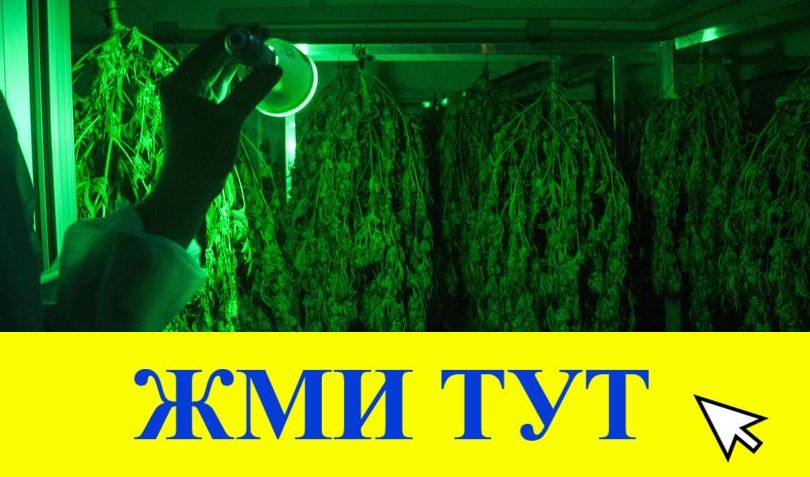 Купить наркотики в Верхнем Тагиле